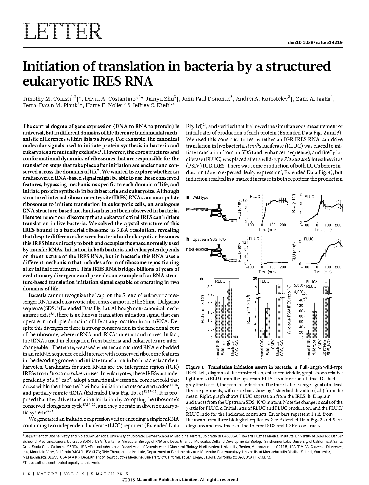 eukaryotic and bacterial transcription and translation