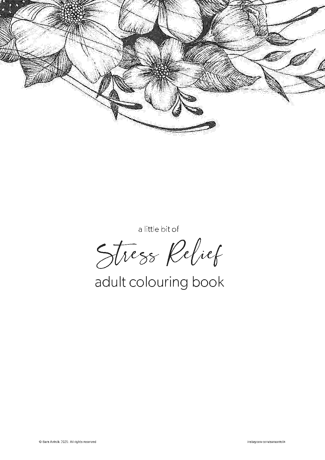 adults colouring book pdf