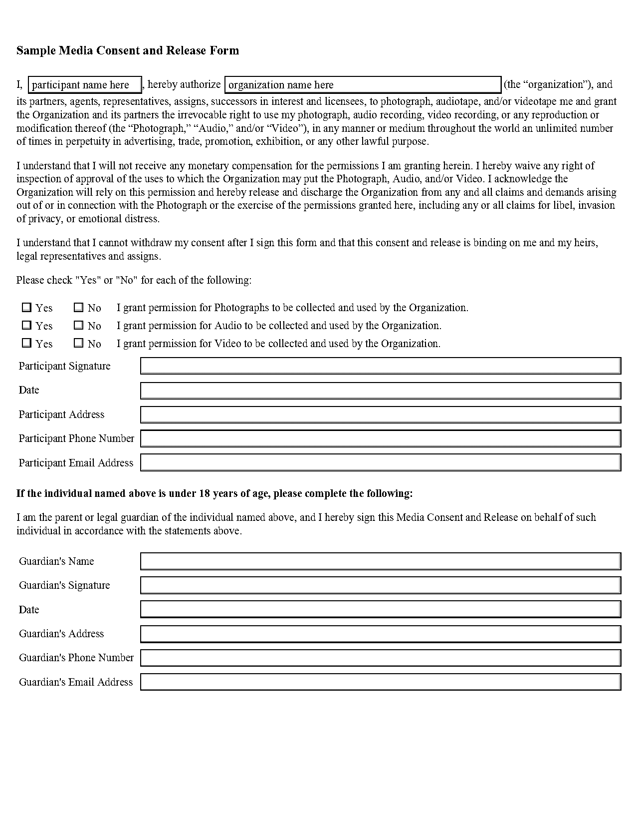 consent form template for video recording