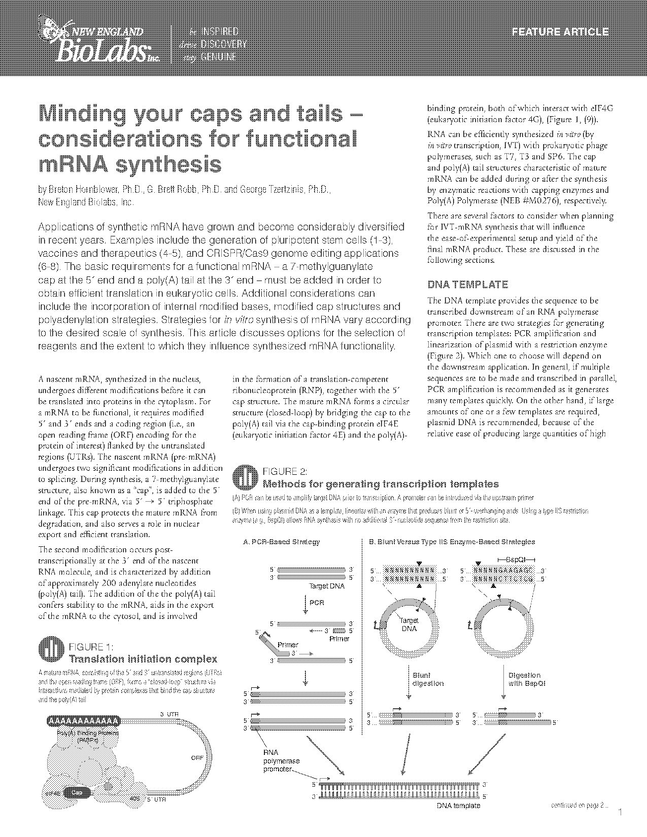 mrna modification before translation