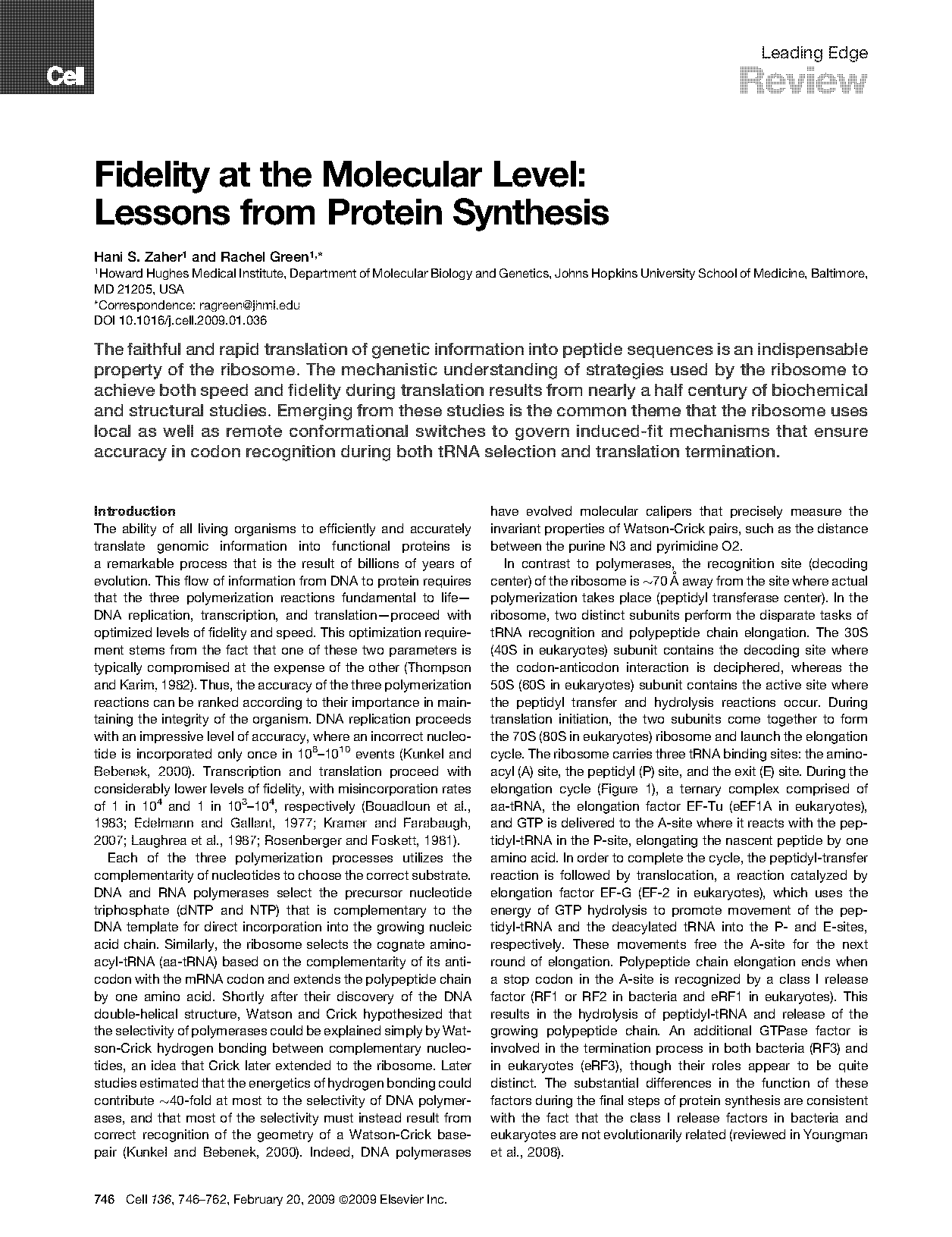 early termination of protein synthesis