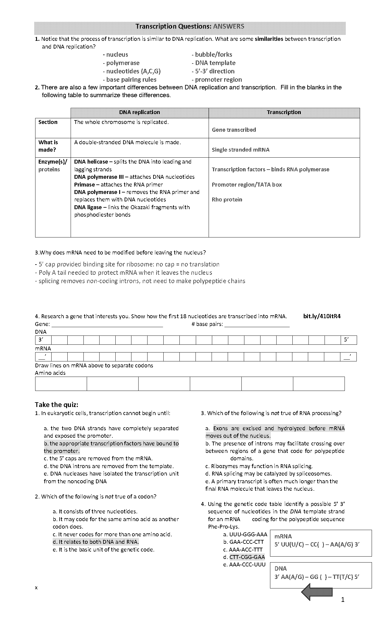 rna transcription and translation quiz