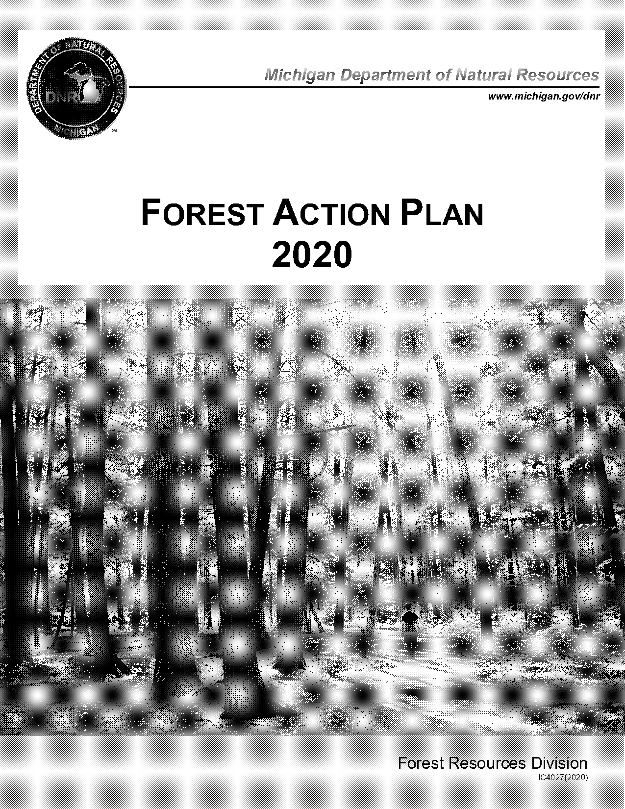 forest planning analyst at american forest management