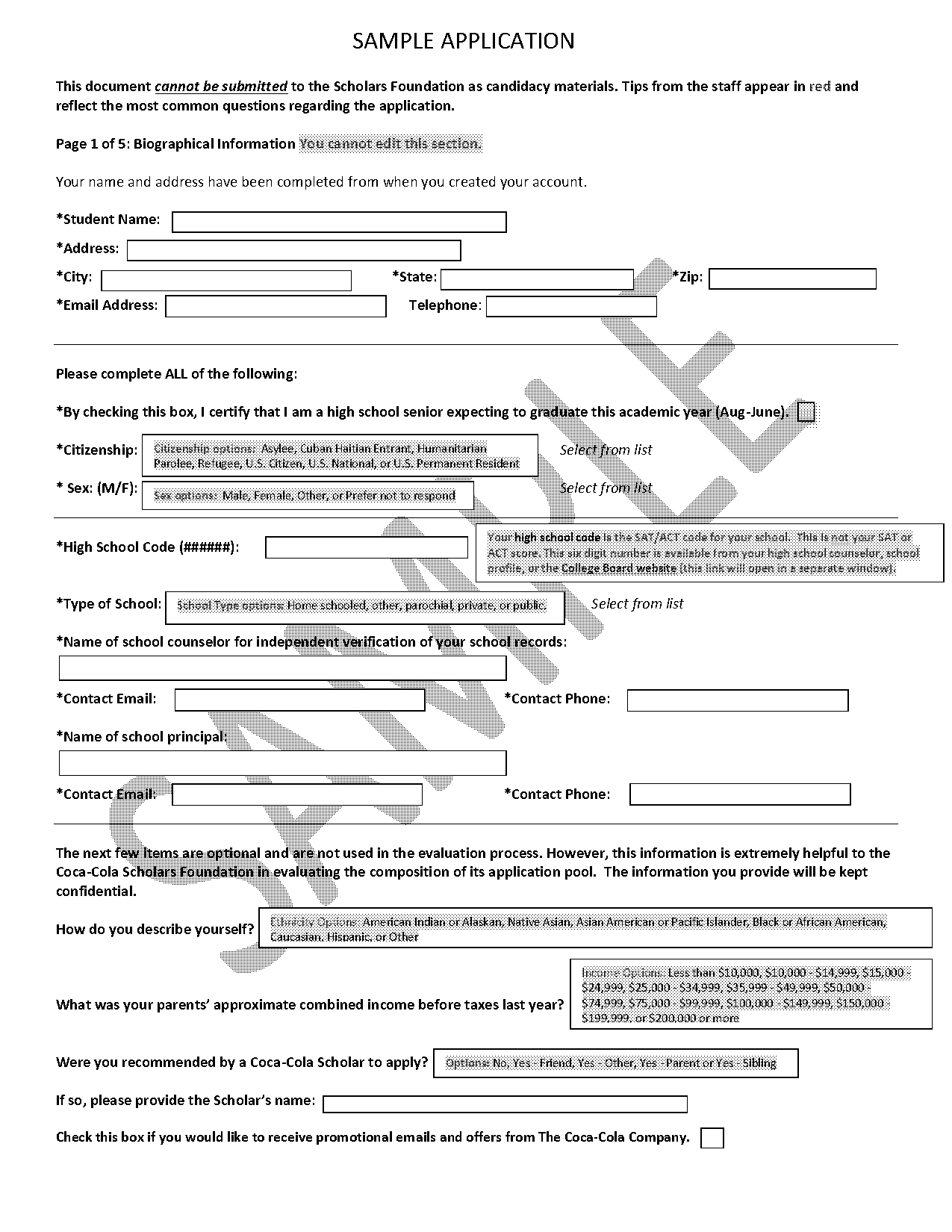 application to school format