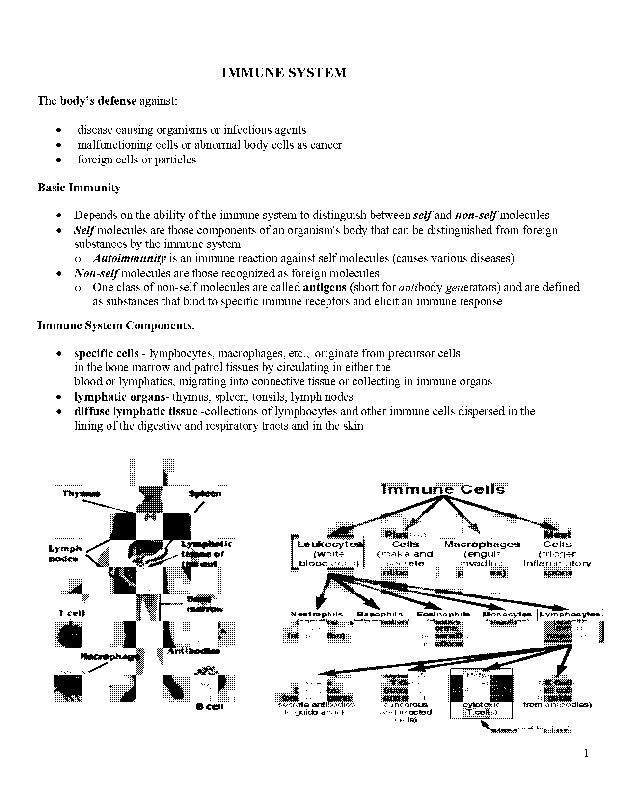 immune system labeling worksheet pdf