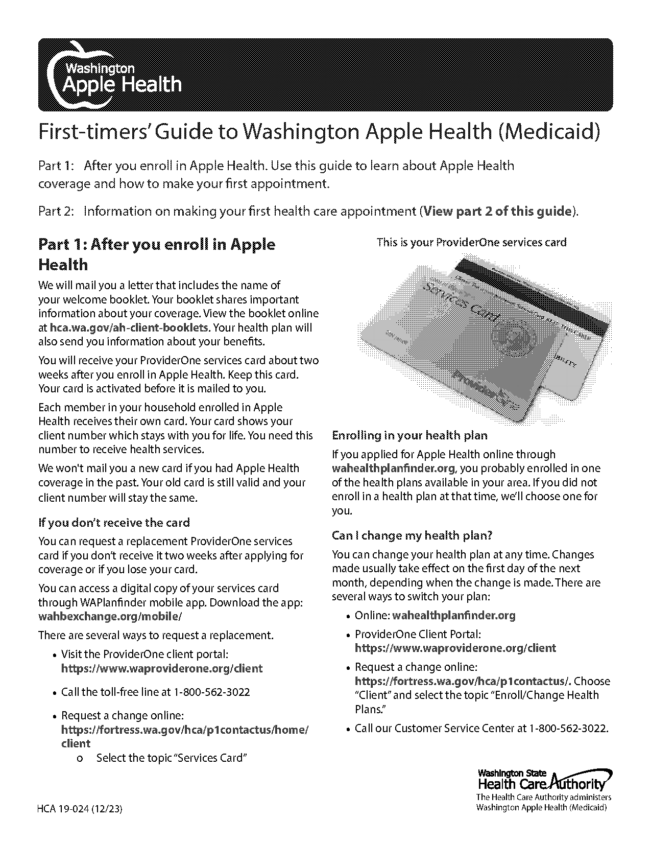 policy and plan number example in madicaid healthcare card