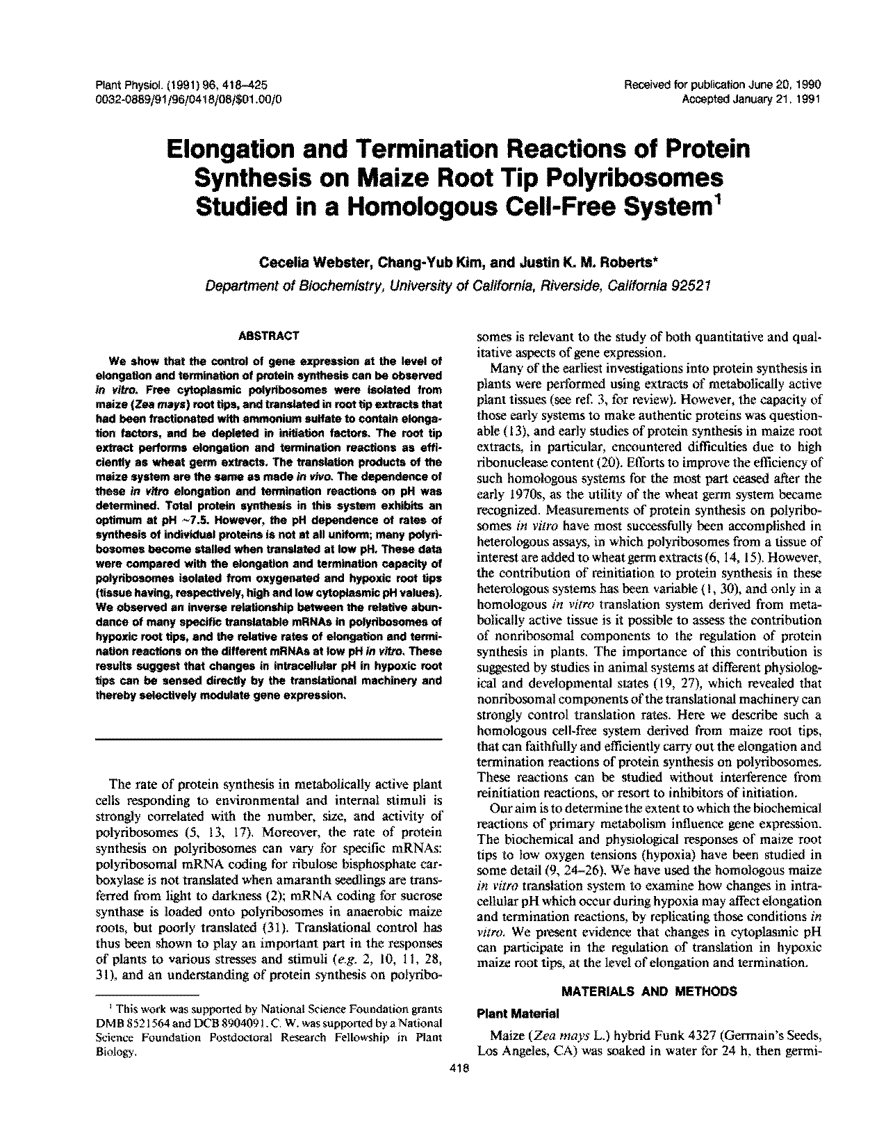 early termination of protein synthesis